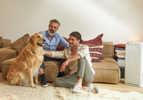 How a 20x30x1 HVAC and Furnace Air Filter for House Protects Your System Boosts Air Quality and Keeps Family Comfortable