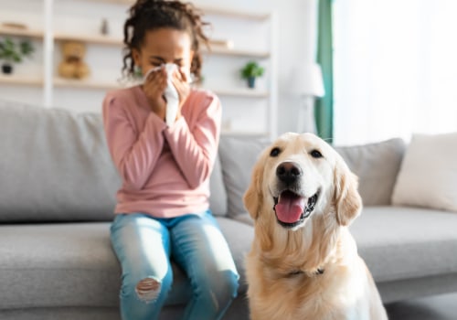 Say Goodbye to Allergies With the Best Home HVAC Home Air Filters
